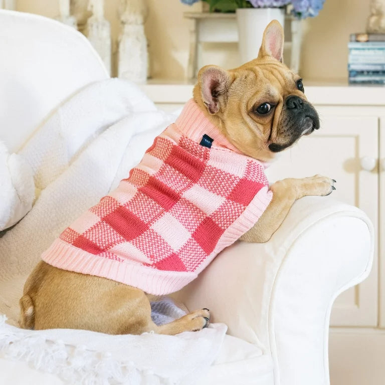 GAP Dog Sweater