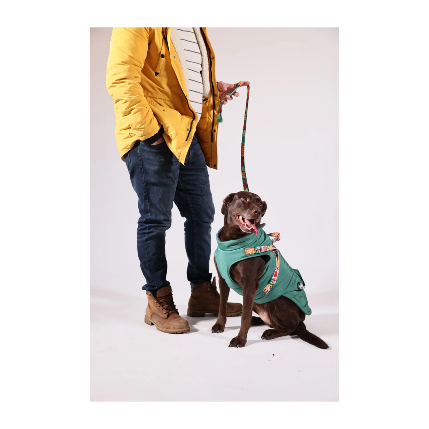 Pawlook Design Göğüs Tasmalı Köpek Montu