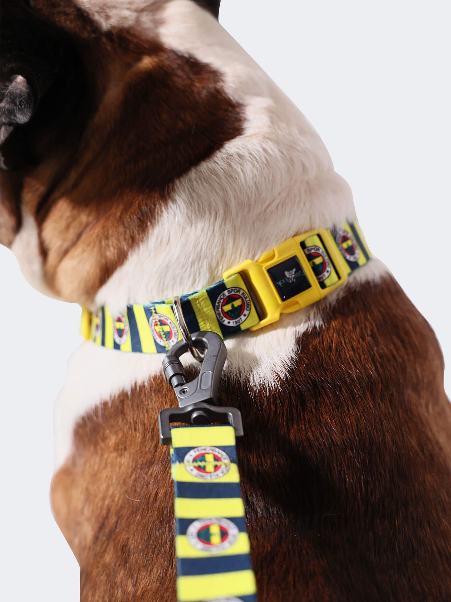 Fenerbahçe Lisanslı & Logolu Köpek Boyun Tasması