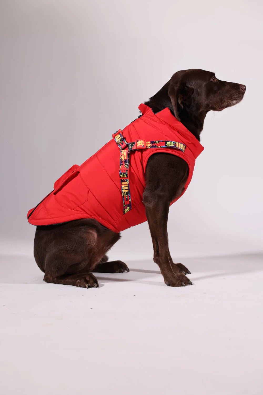 Pawlook Design Göğüs Tasmalı Köpek Montu