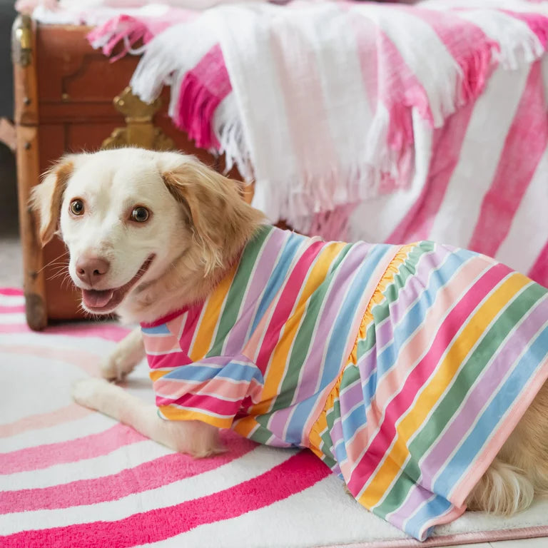 GAP Dog Striped Dress