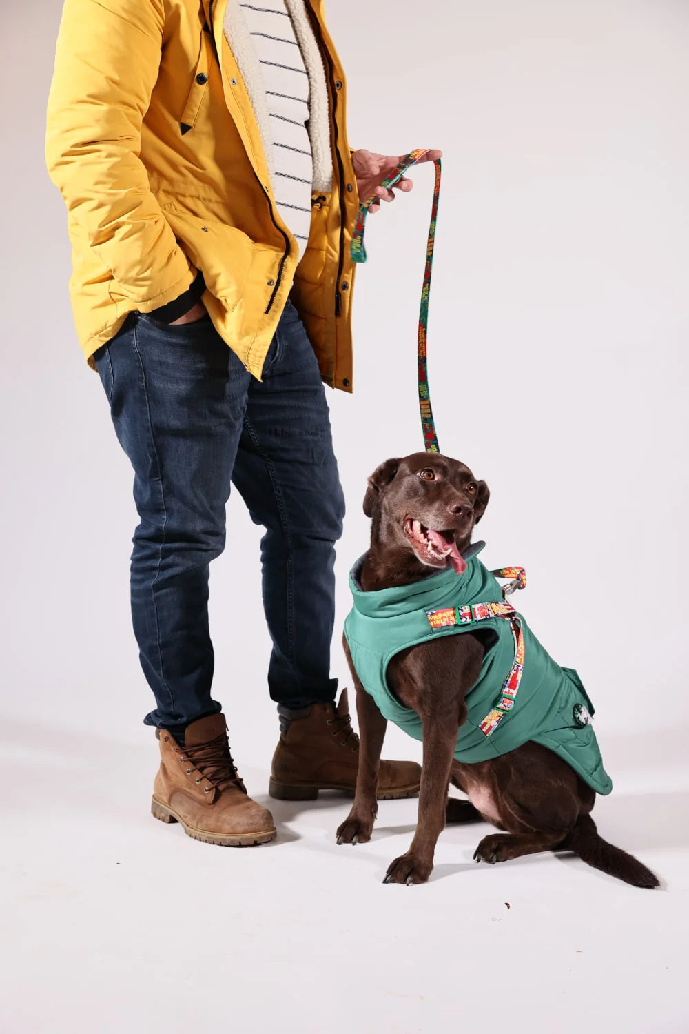 Pawlook Design Göğüs Tasmalı Köpek Montu