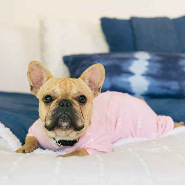 GAP Dog Pajamas