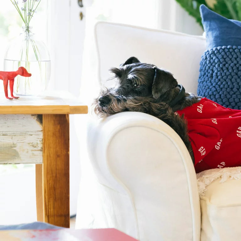 GAP Dog Pajamas