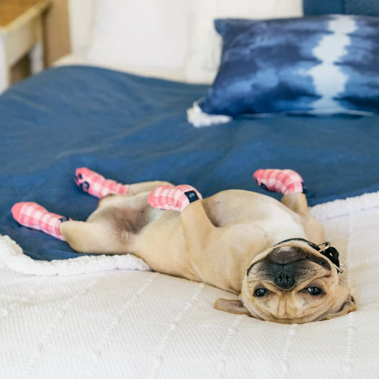 GAP Dog Socks