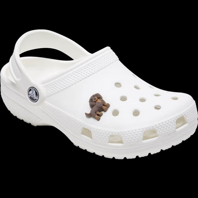 Crocs Jibbitz Charms