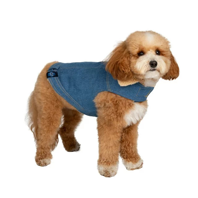 GAP Köpek Kot Ceket