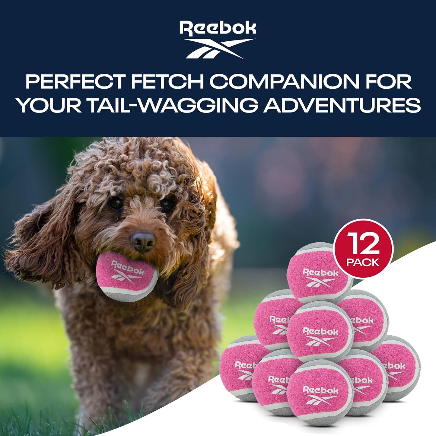 Reebok Köpek Tenis Topu 3lü