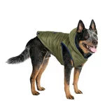 GAP Köpek Kapşonlu Ceket