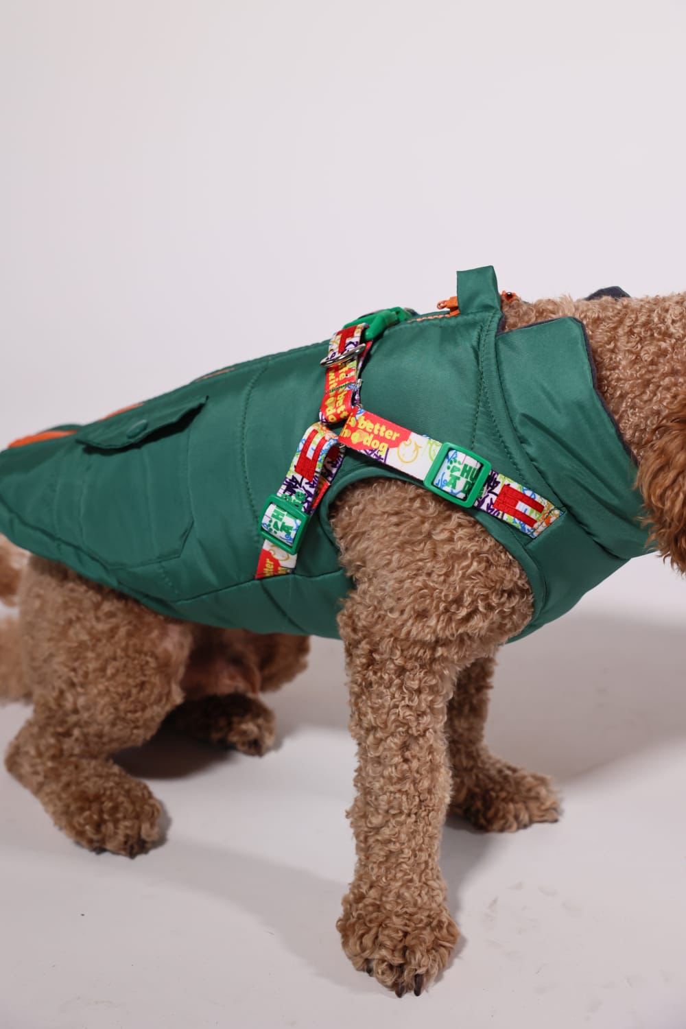 Pawlook Design Göğüs Tasmalı Köpek Montu