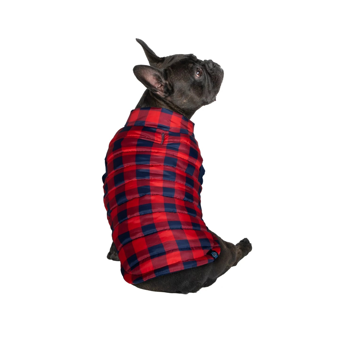 GAP Dog Puff Jacket