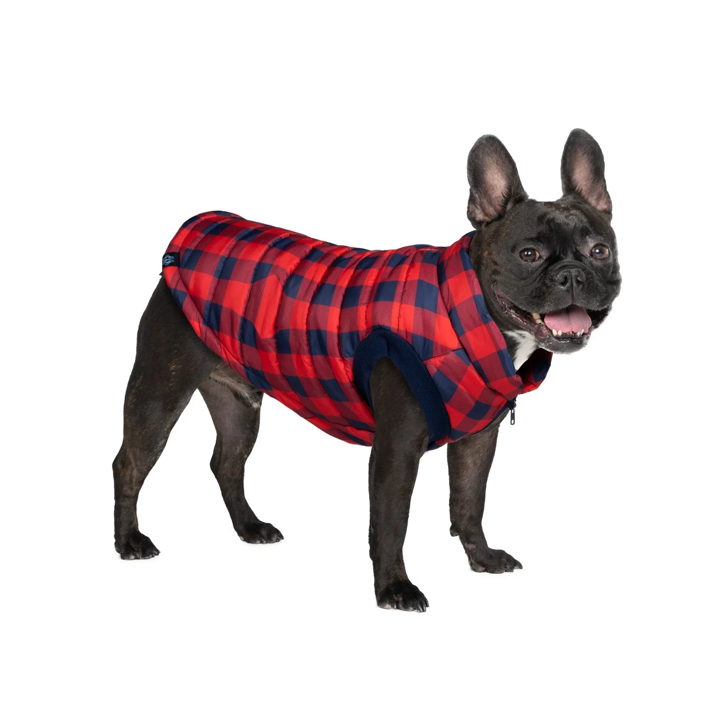 GAP Dog Puff Jacket
