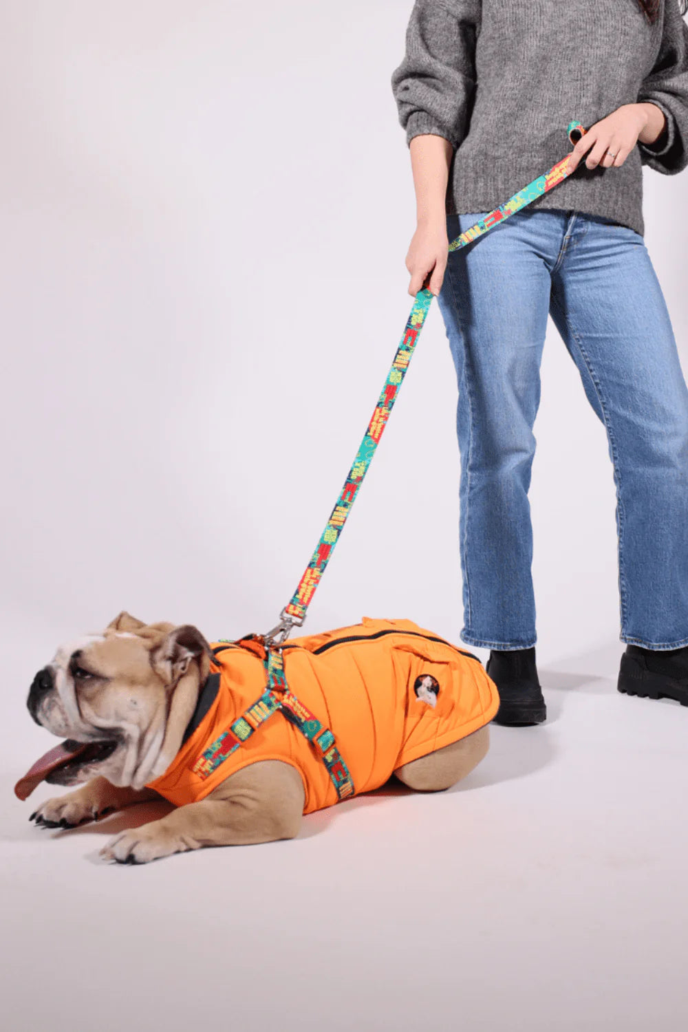 Pawlook Design Göğüs Tasmalı Köpek Montu