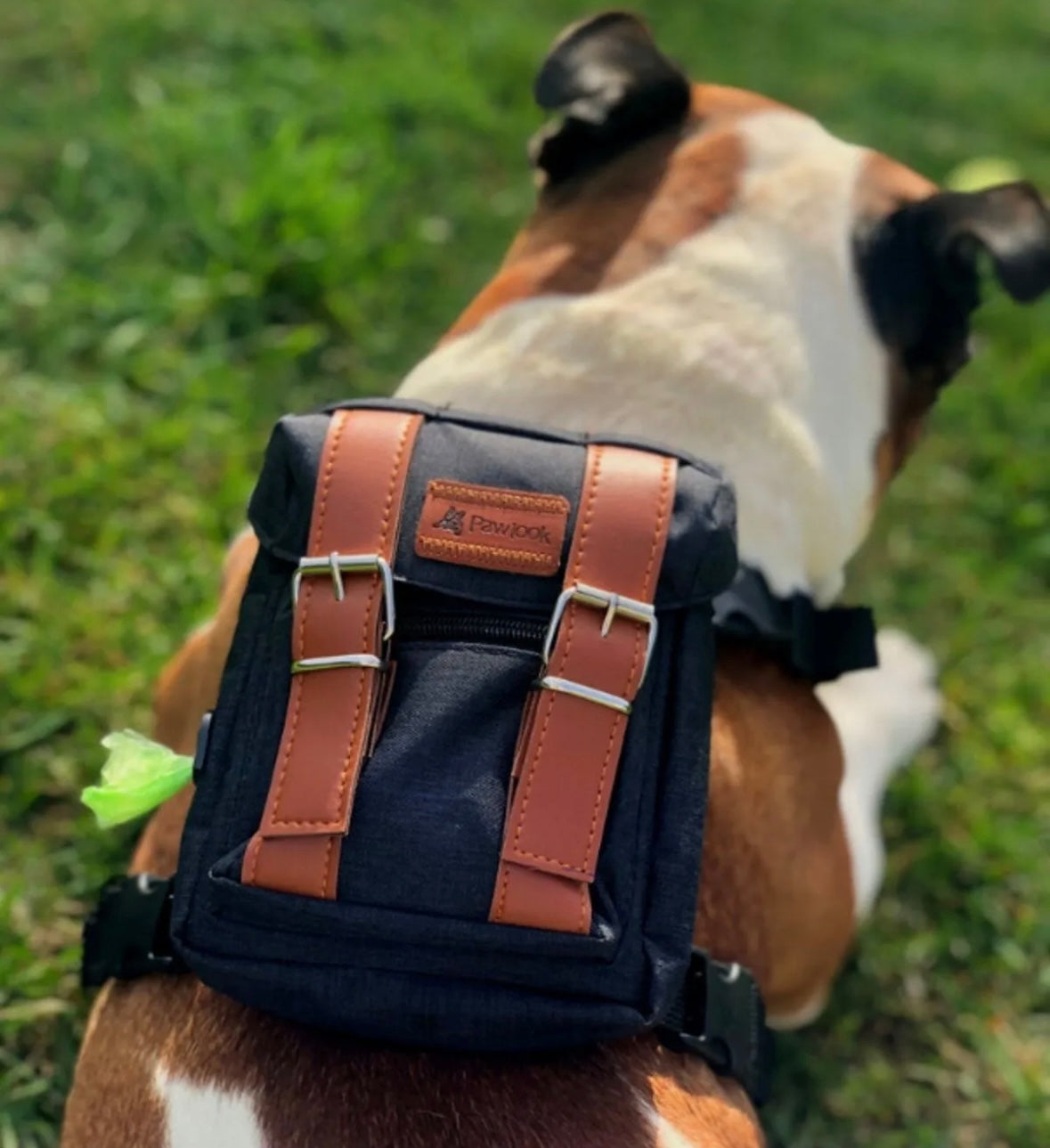 Pawlook Dog Harness Backpack Bond Series
