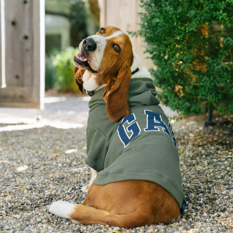 GAP Dog Hoodie Blue
