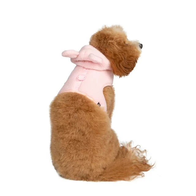 GAP Köpek Göğüs Tasması