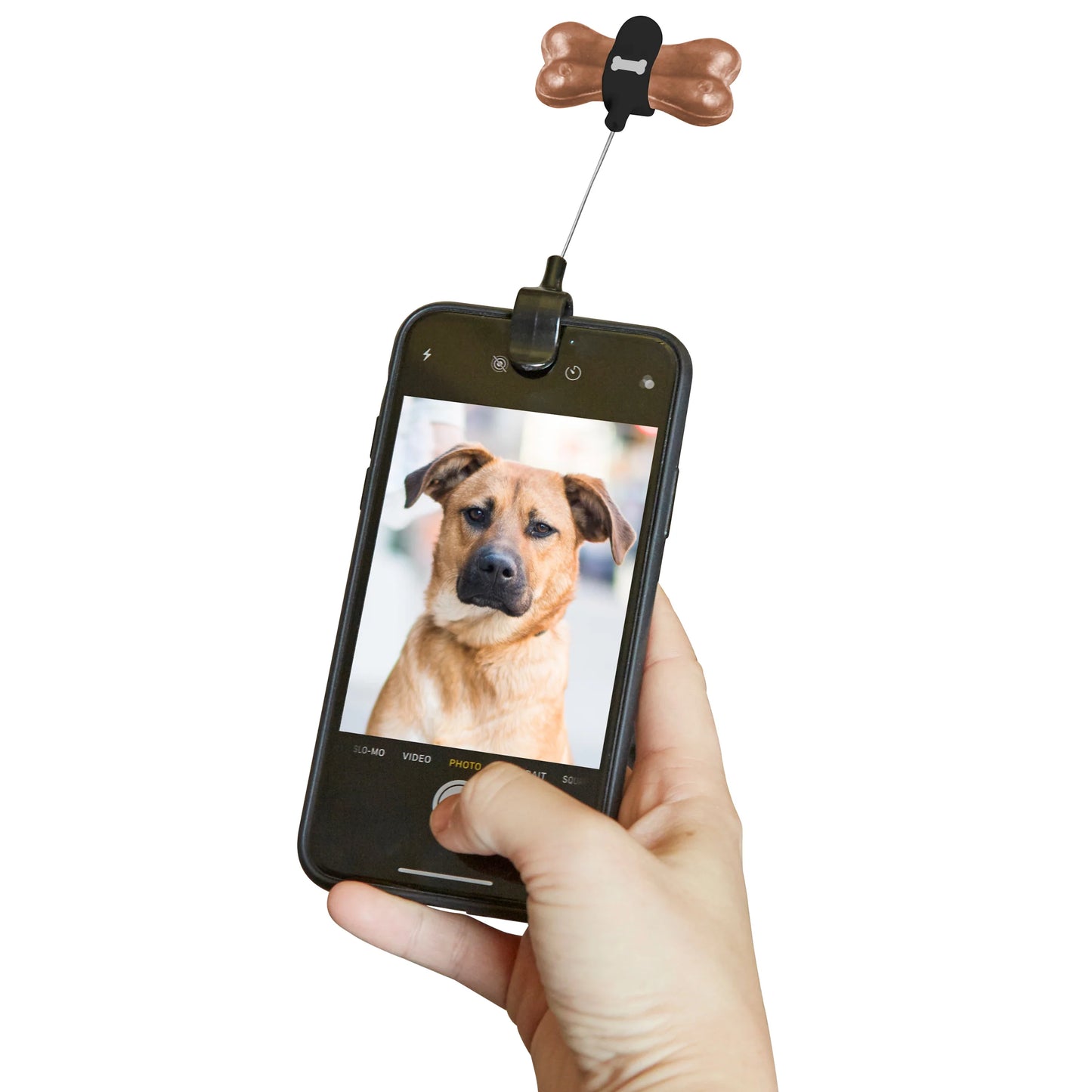 Kikkerland Kobe Dog Selfie Attachment (Treaty Holder)