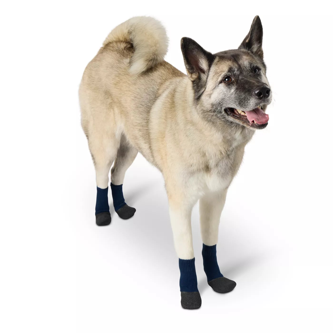 Arcadia Trail Su Geçirmez Köpek Çorabı