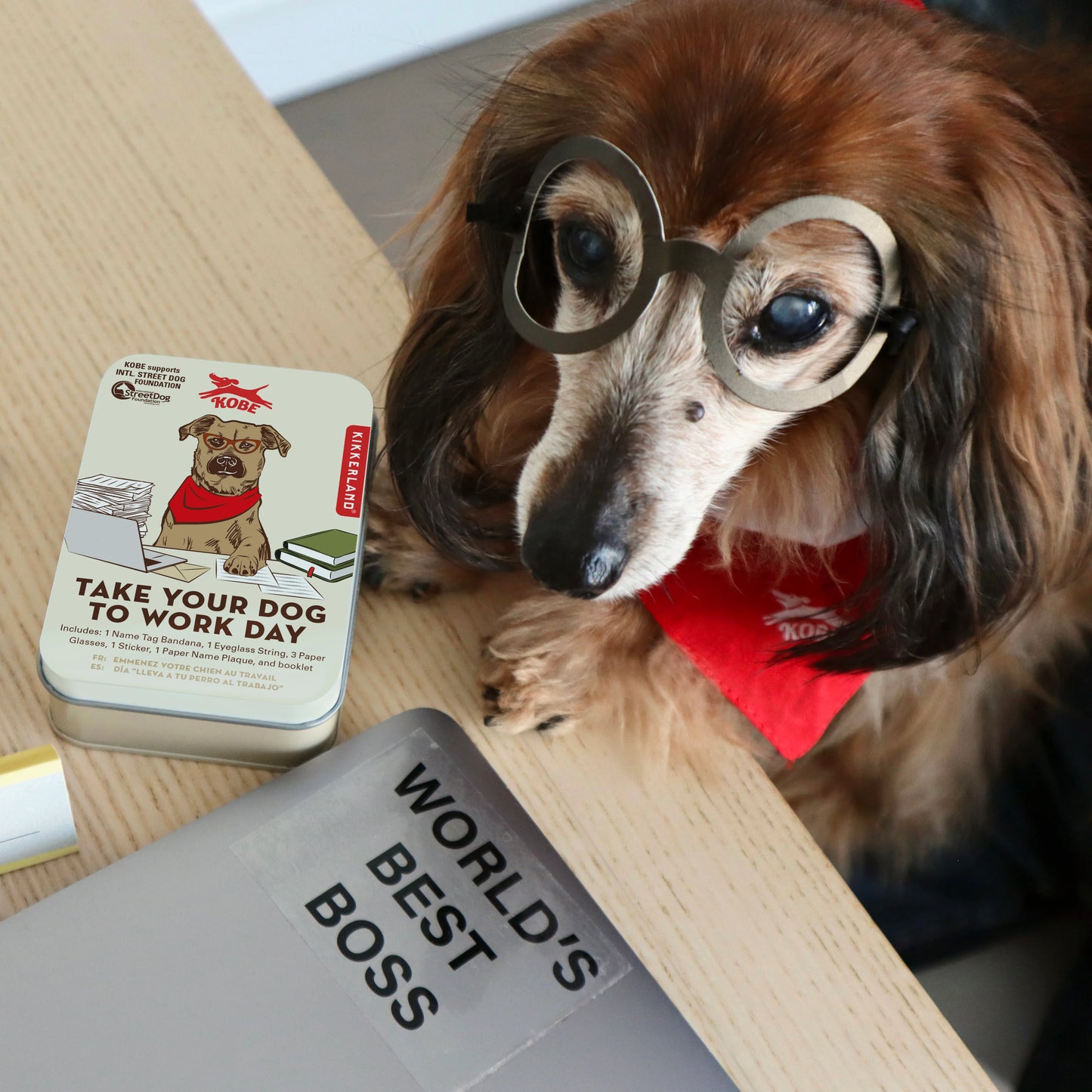 Kikkerland Kobe Dog Work Life Kit