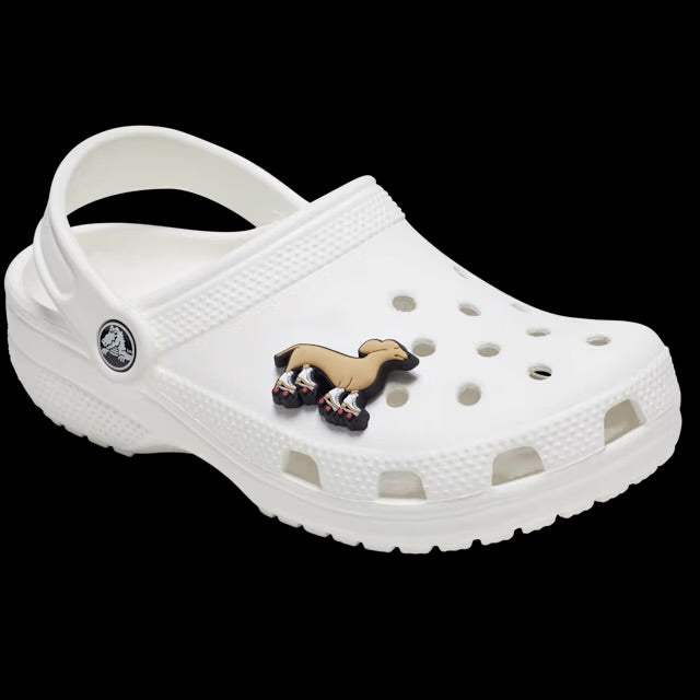 Crocs Jibbitz Charms