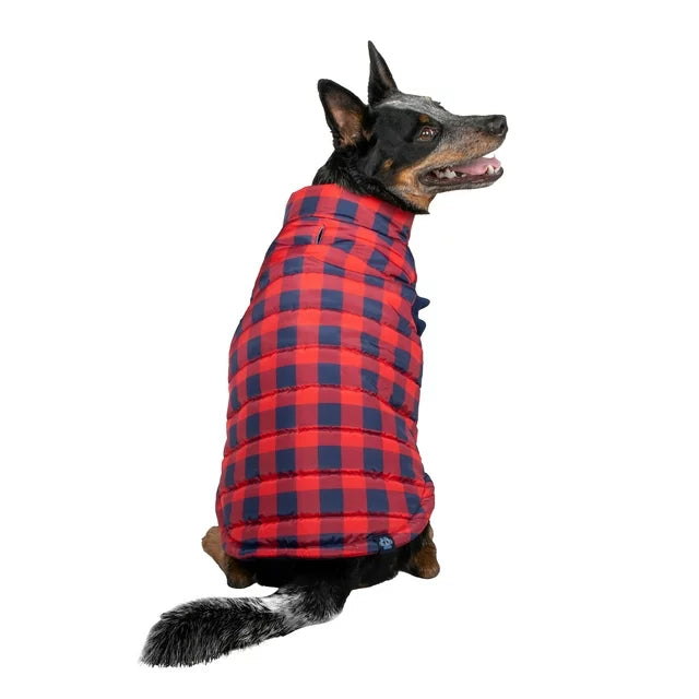 GAP Dog Puff Jacket