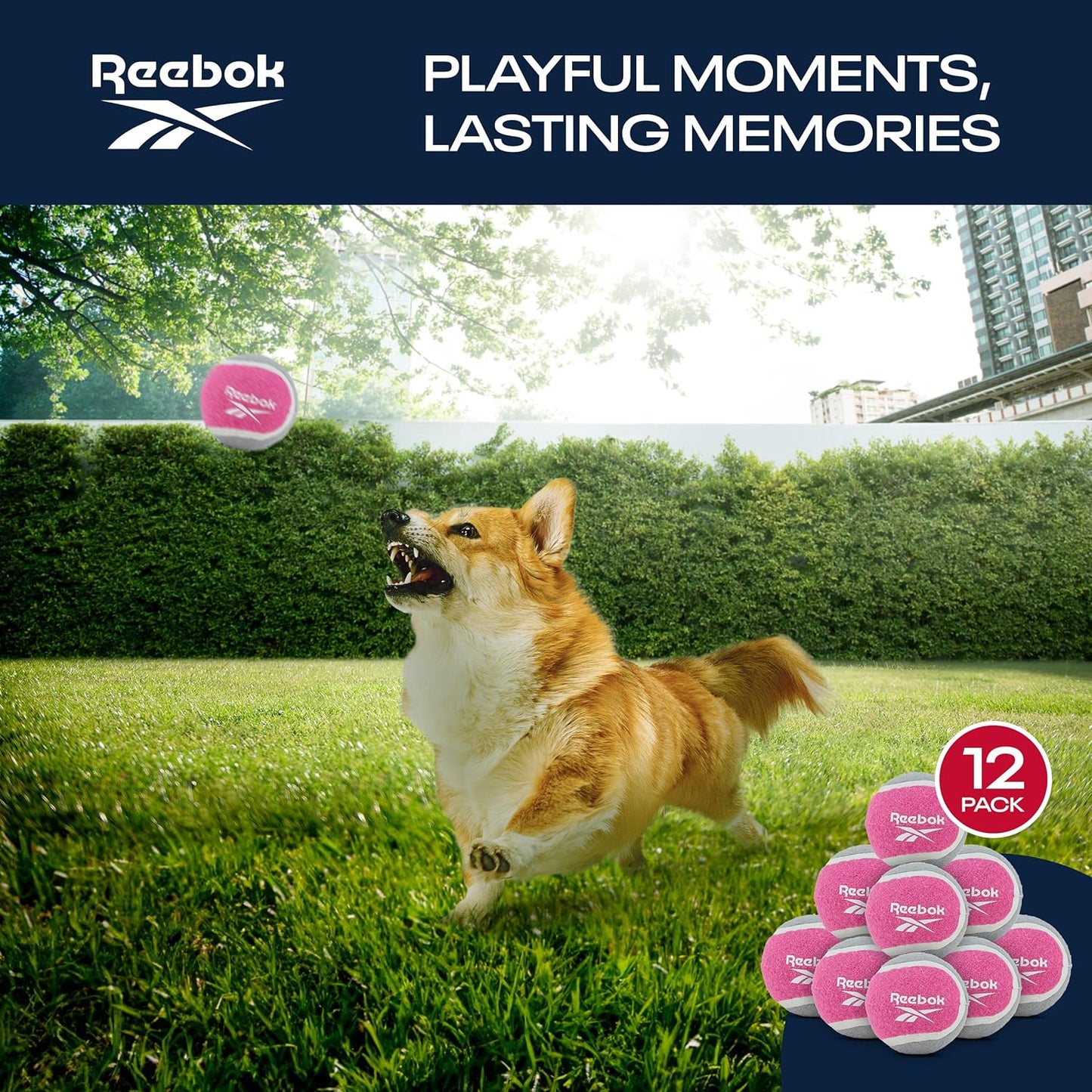 Reebok Köpek Tenis Topu 3lü