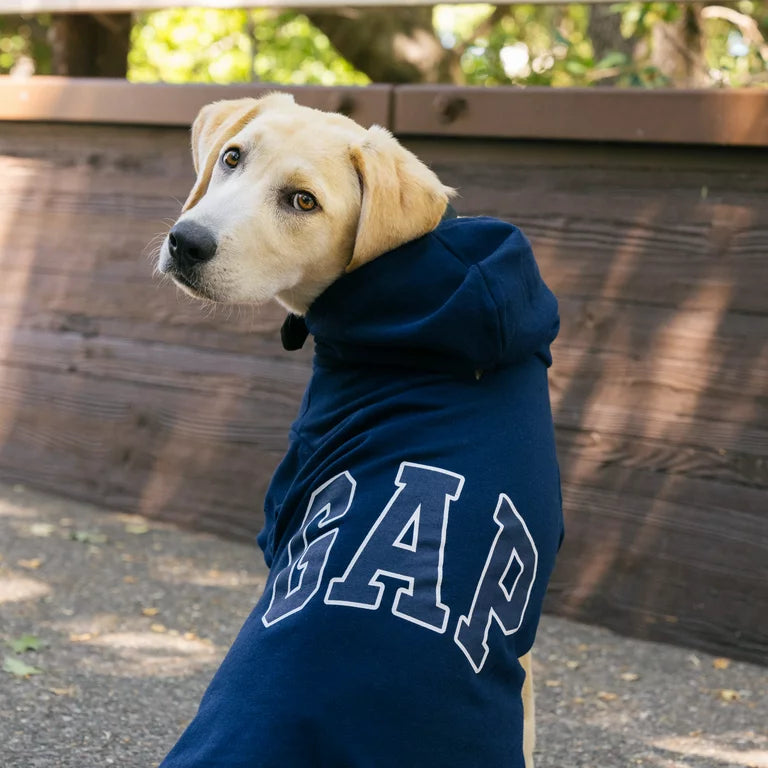 GAP Dog Hoodie Blue