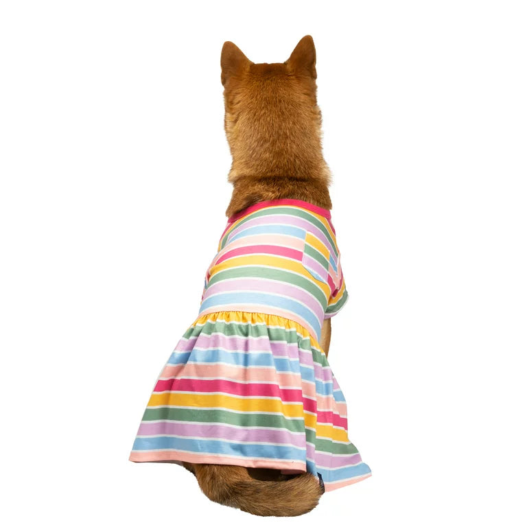 GAP Dog Striped Dress