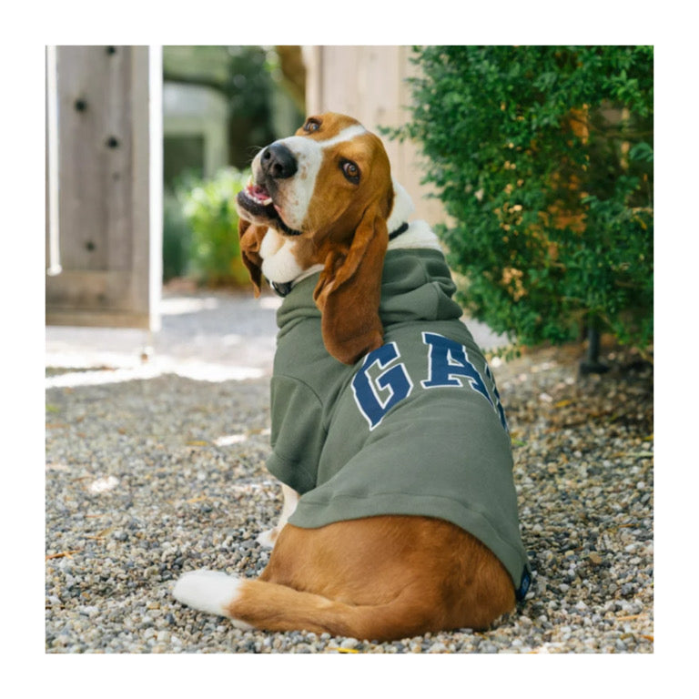 GAP Dog Hoodie Blue