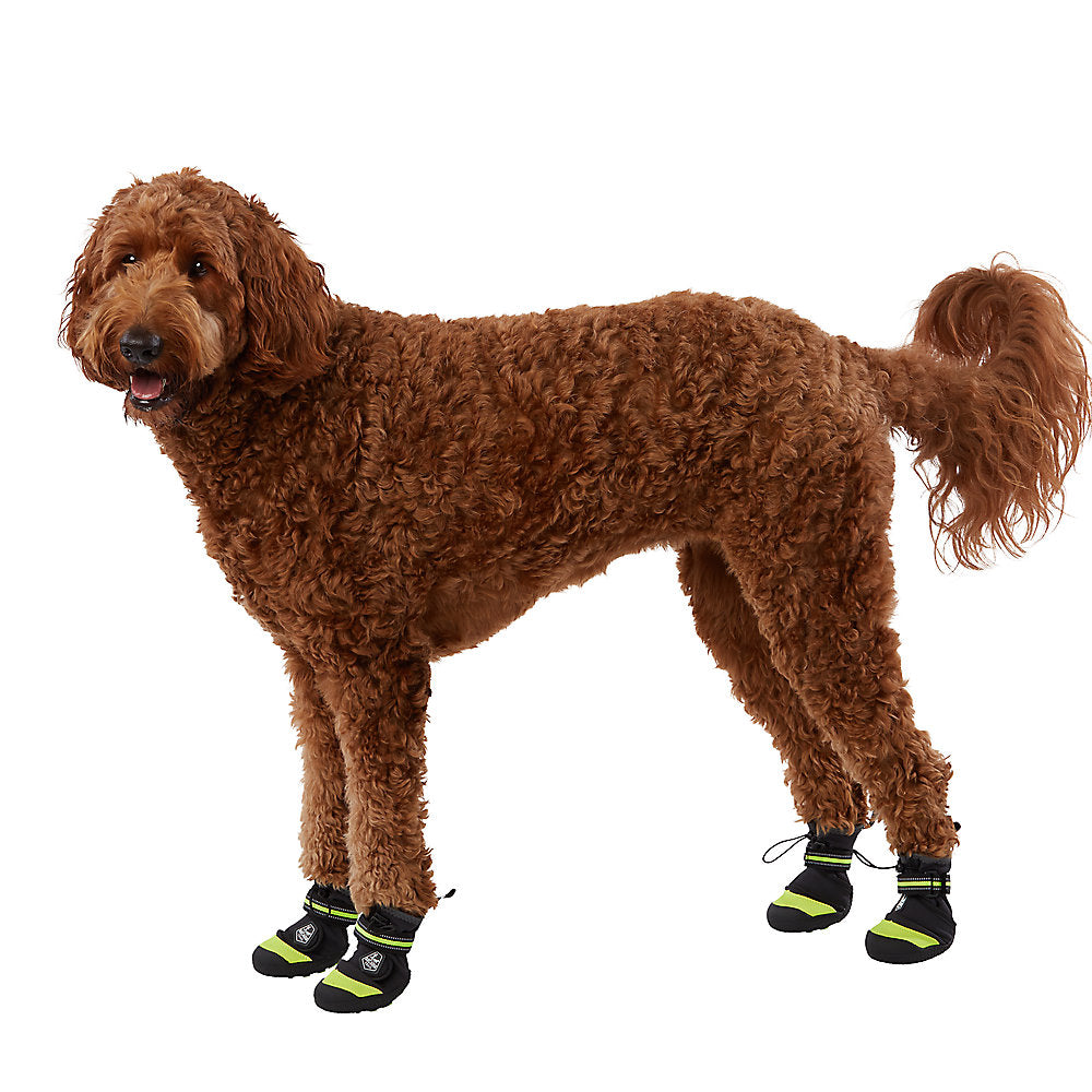 Arcadia Trail Köpek Ayakkabısı