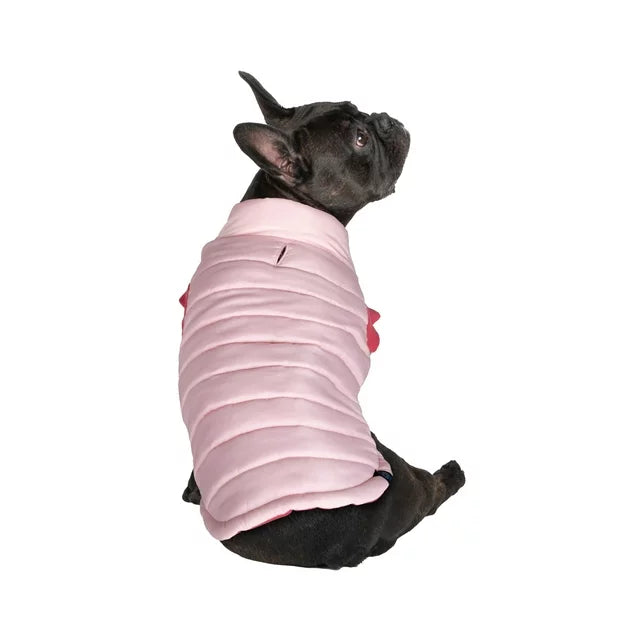 GAP Dog Puff Jacket