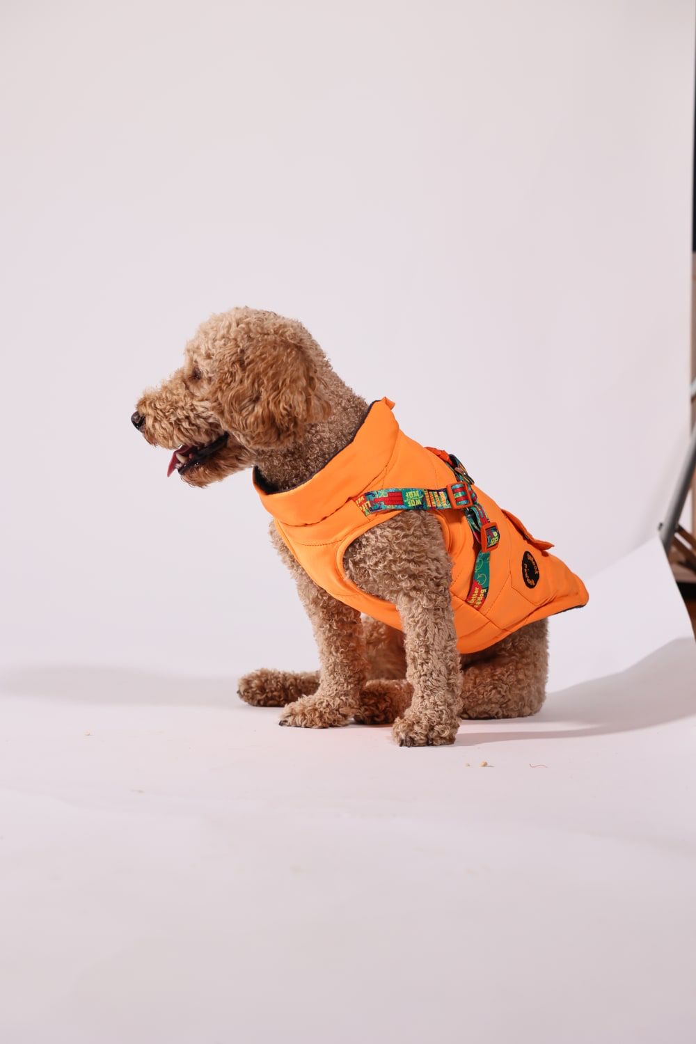 Pawlook Design Göğüs Tasmalı Köpek Montu