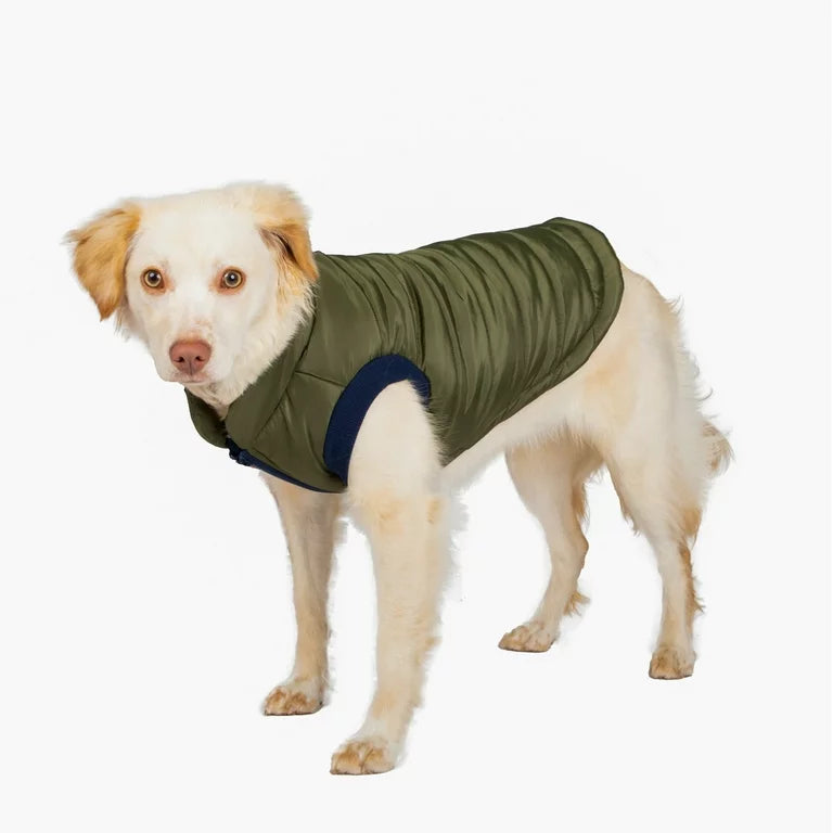 GAP Dog Puff Jacket
