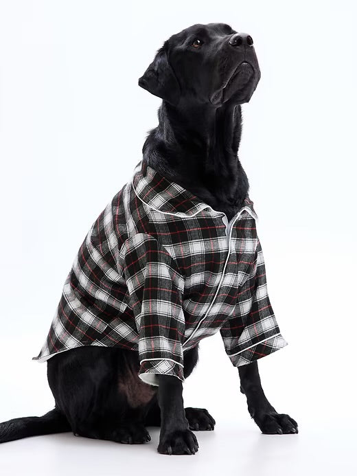 GAP Dog Shirt
