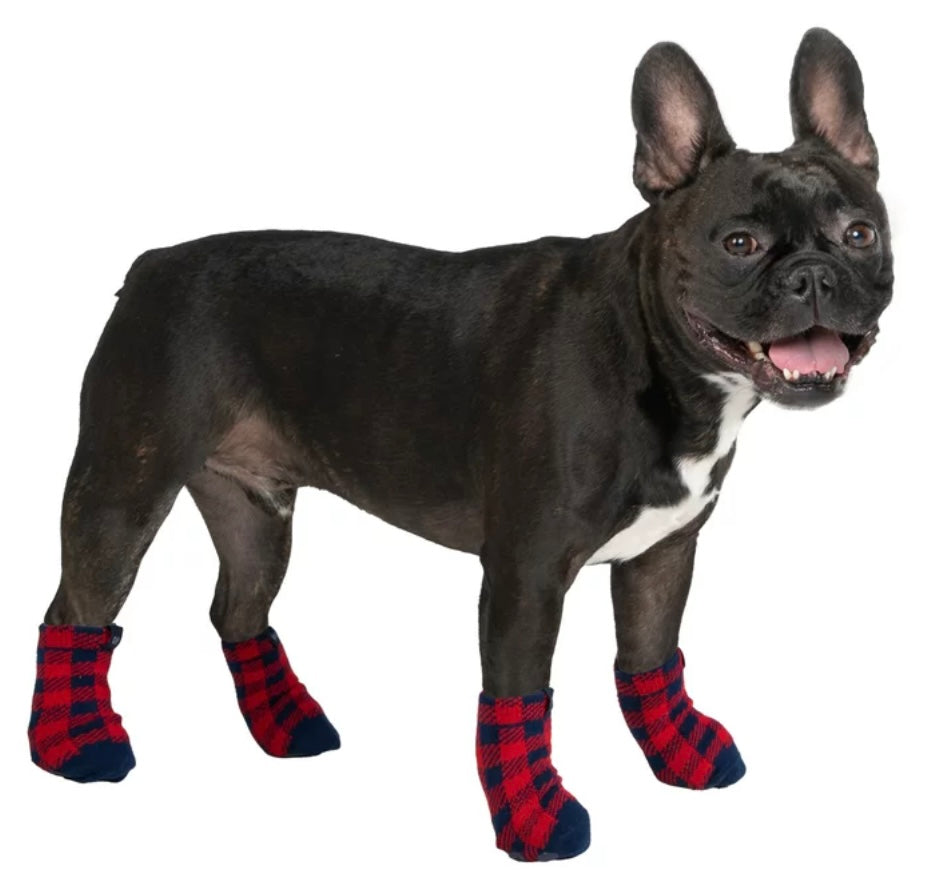 GAP Dog Socks