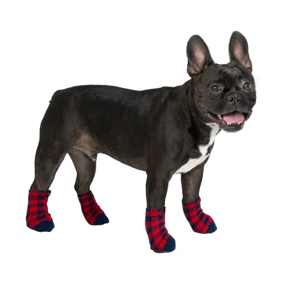 GAP Dog Socks