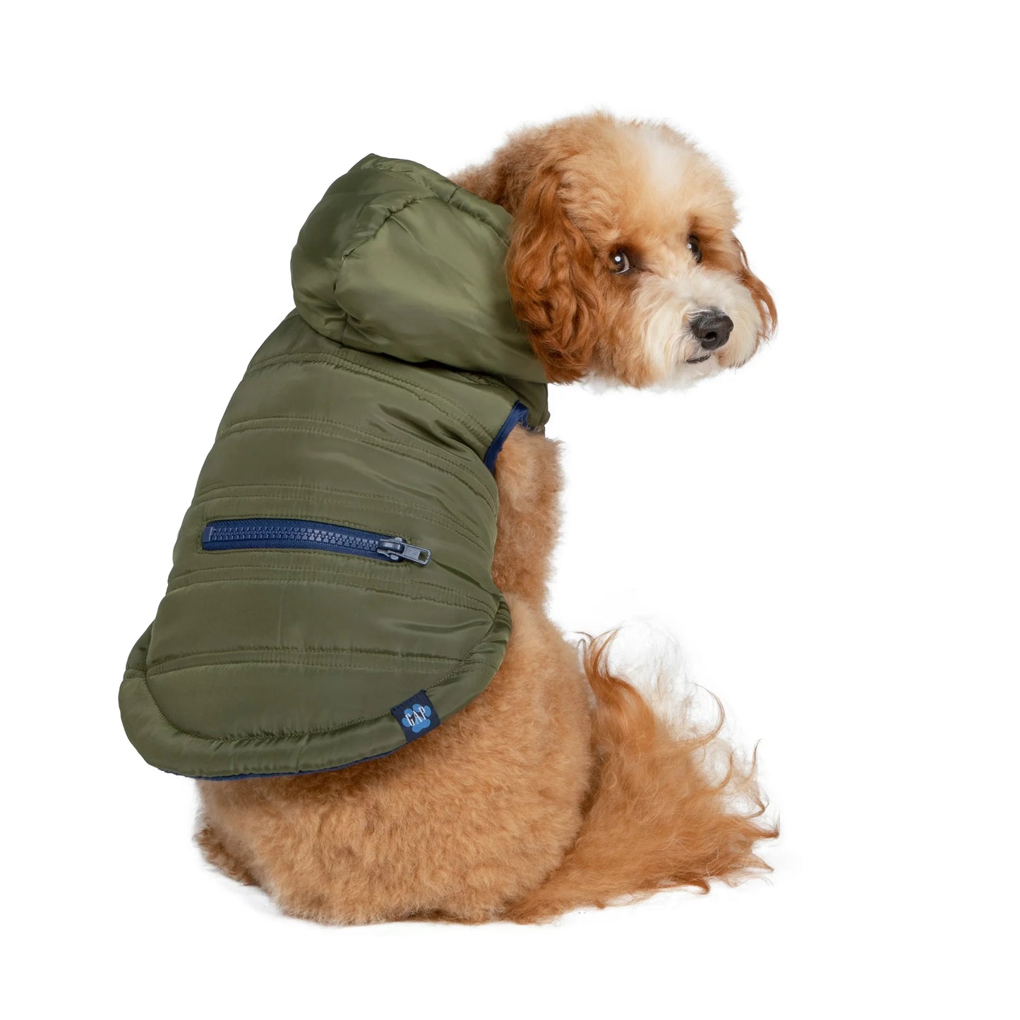 GAP Köpek Kapşonlu Ceket