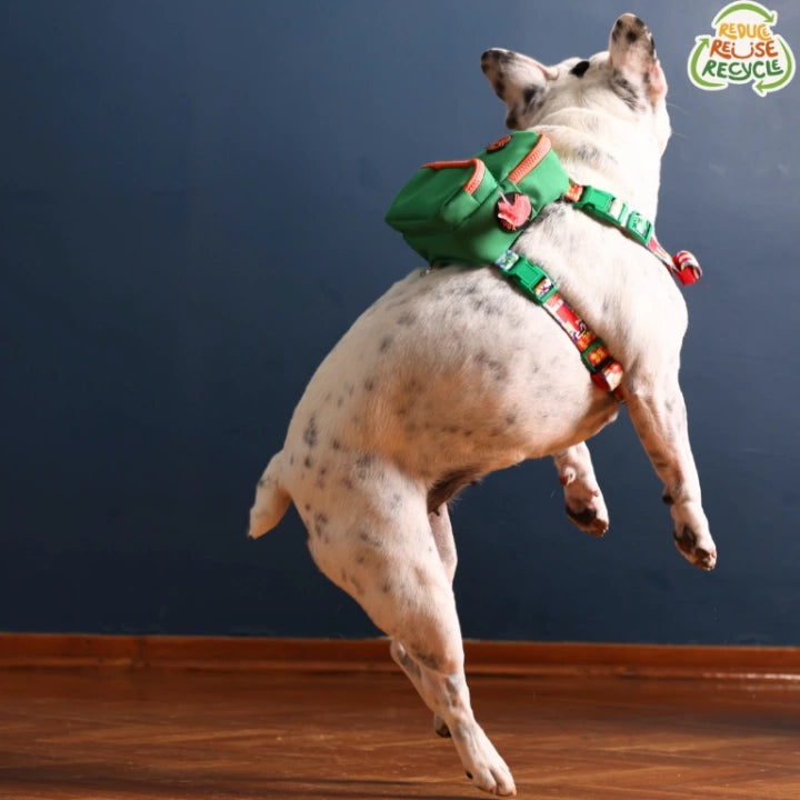 Pawlook Dog Harness Backpack