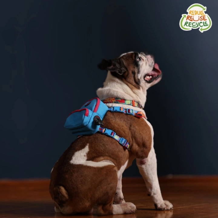 Pawlook Dog Harness Backpack