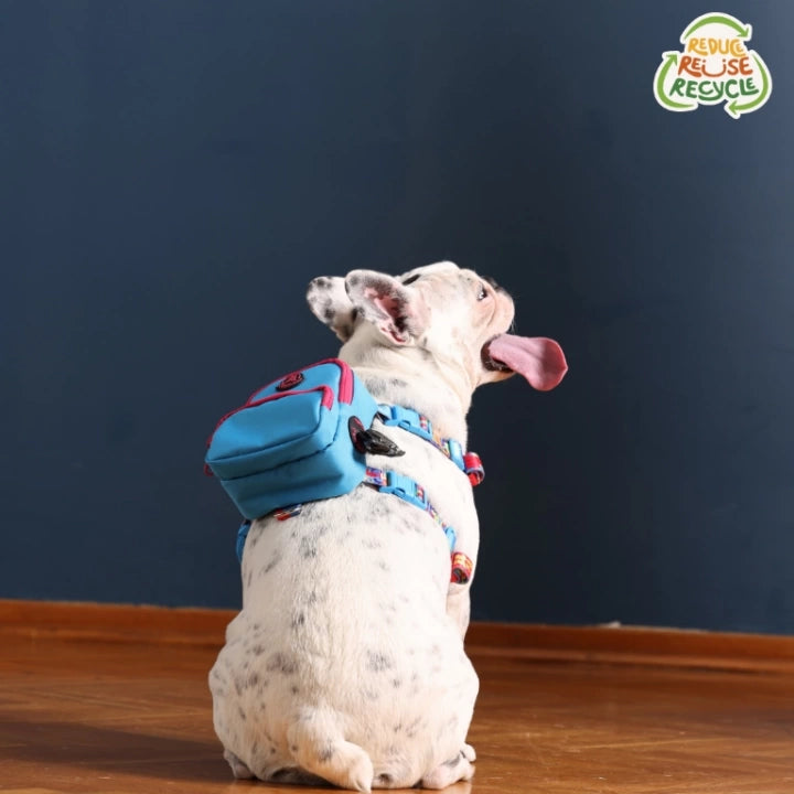 Pawlook Dog Harness Backpack