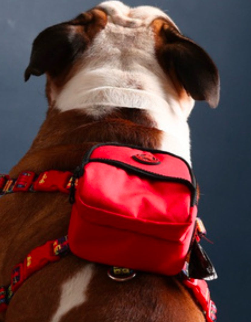 Pawlook Dog Harness Backpack