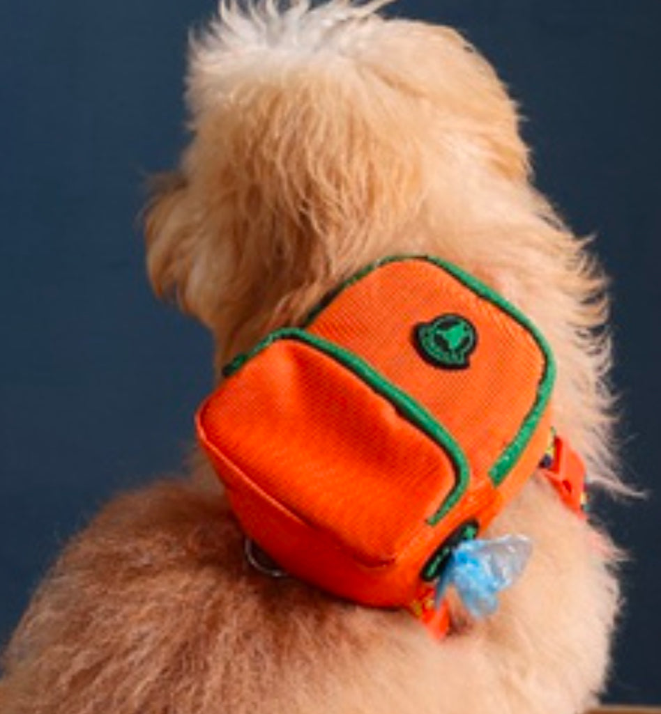 Pawlook Dog Harness Backpack