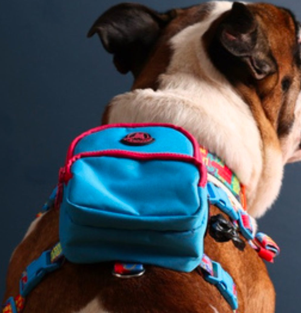 Pawlook Dog Harness Backpack