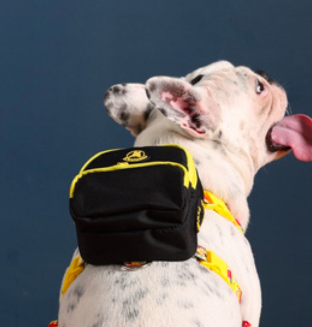Pawlook Dog Harness Backpack