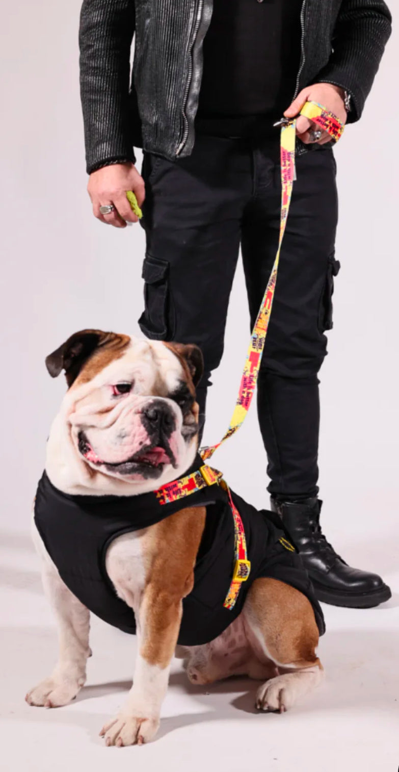 Pawlook Design Göğüs Tasmalı Köpek Montu