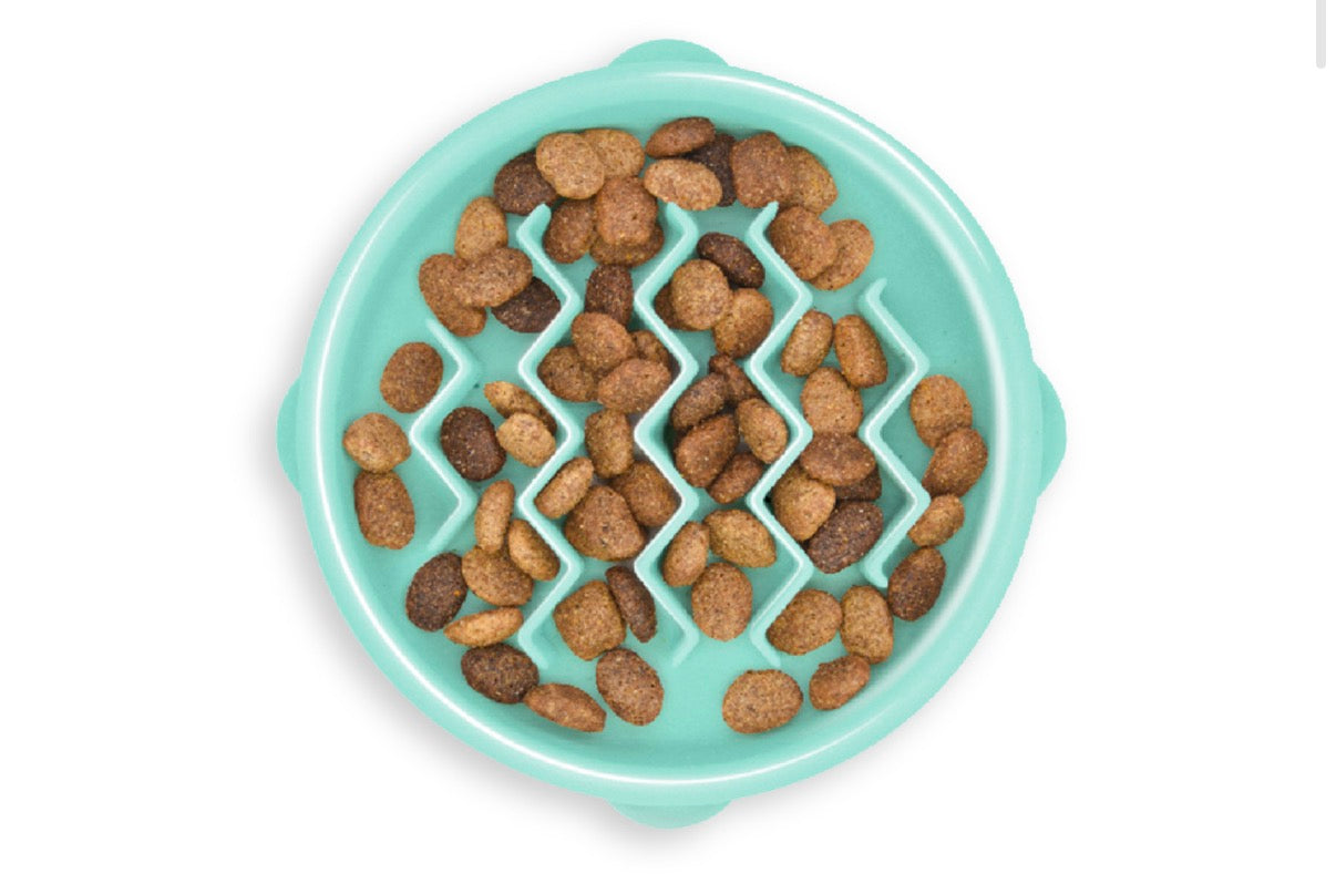 Outward Hound Yavaş Yeme Mama Kapları