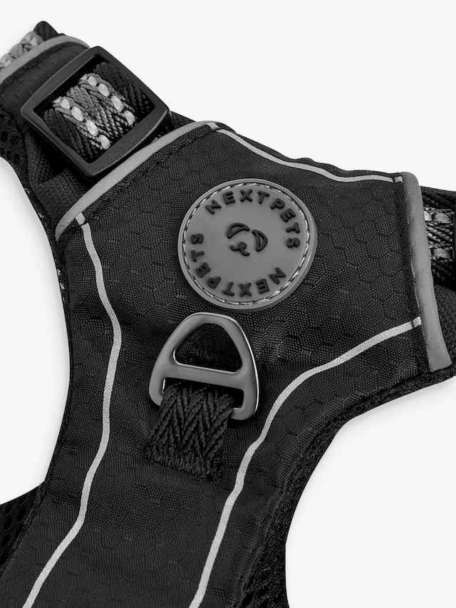 Beden / Göğüs Tasması