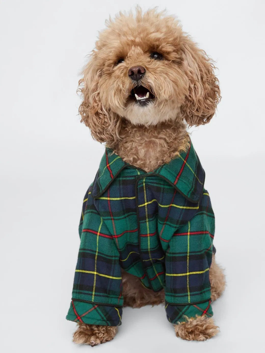 GAP Dog Shirt