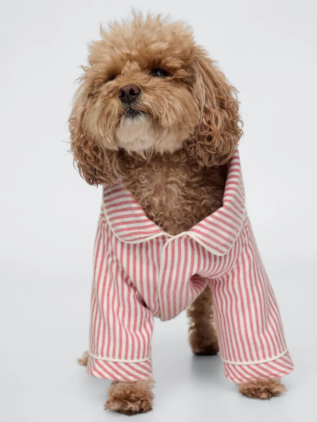 GAP Dog Shirt