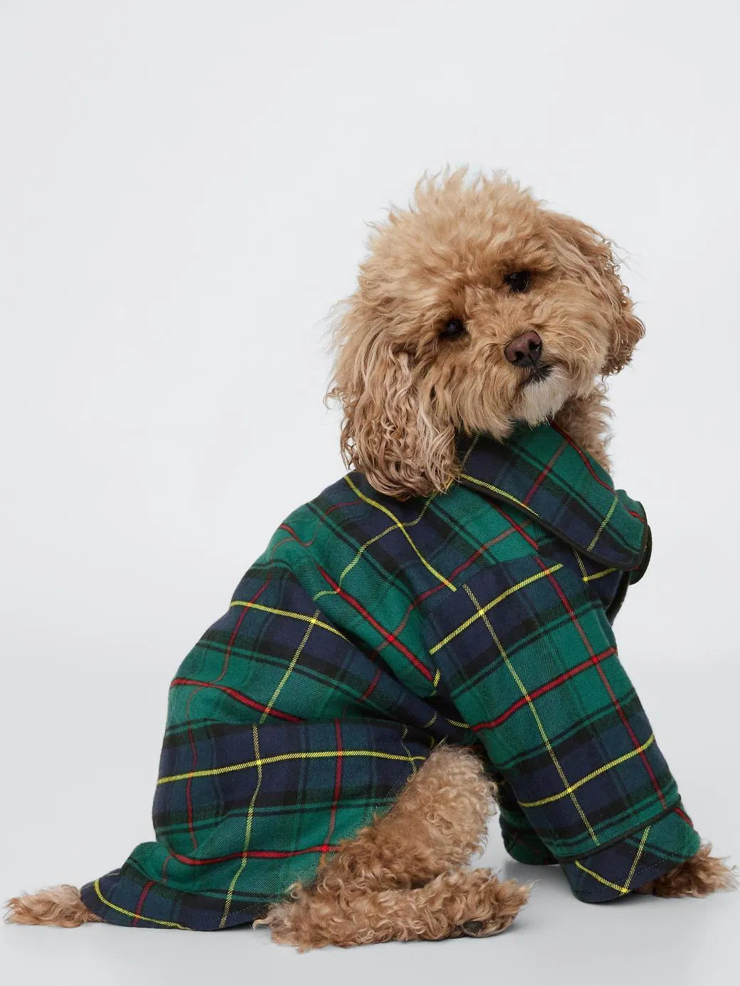 GAP Dog Shirt